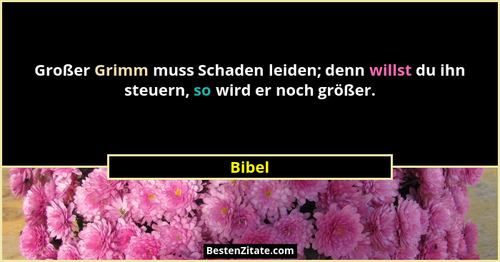 Großer Grimm muss Schaden leiden; denn willst du ihn steuern, so wird er noch größer.... - Bibel