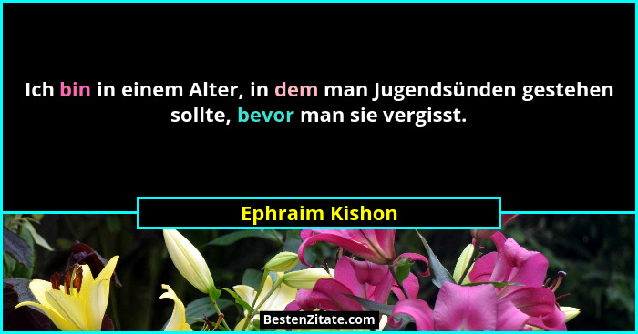 Ich bin in einem Alter, in dem man Jugendsünden gestehen sollte, bevor man sie vergisst.... - Ephraim Kishon