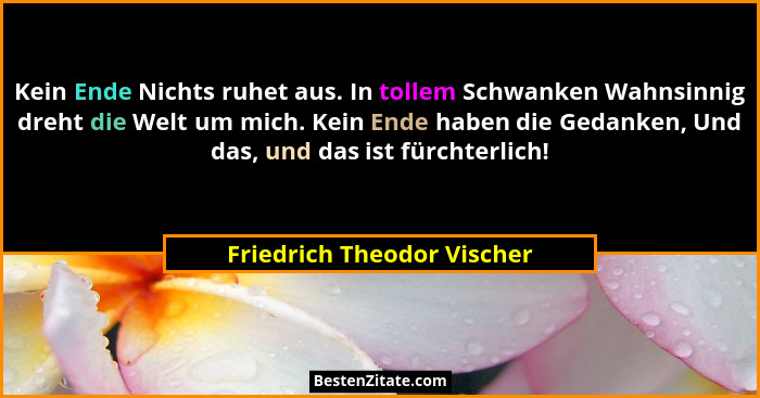 Kein Ende Nichts ruhet aus. In tollem Schwanken Wahnsinnig dreht die Welt um mich. Kein Ende haben die Gedanken, Und das,... - Friedrich Theodor Vischer