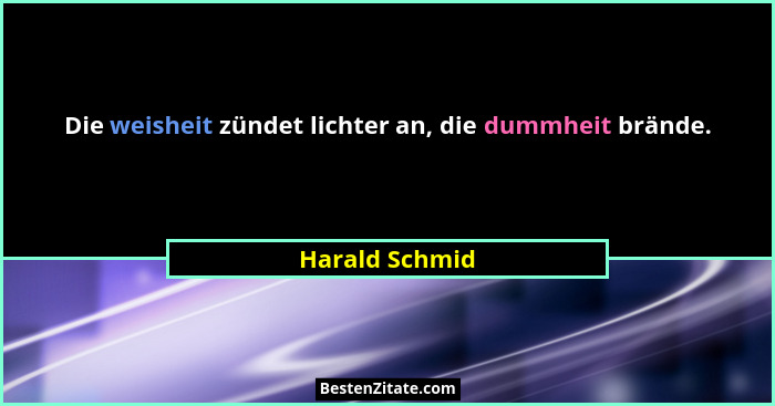 Die weisheit zündet lichter an, die dummheit brände.... - Harald Schmid