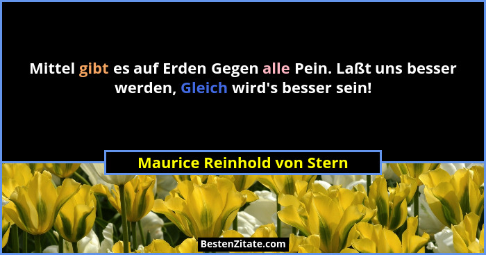 Mittel gibt es auf Erden Gegen alle Pein. Laßt uns besser werden, Gleich wird's besser sein!... - Maurice Reinhold von Stern
