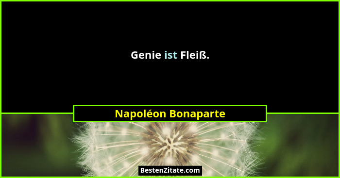 Genie ist Fleiß.... - Napoléon Bonaparte