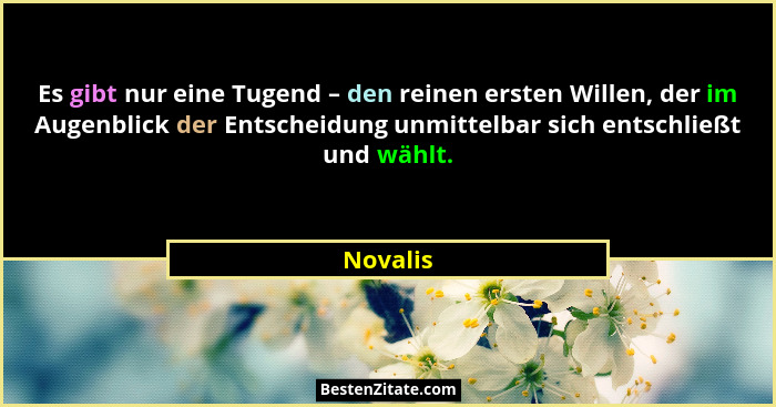 Es gibt nur eine Tugend – den reinen ersten Willen, der im Augenblick der Entscheidung unmittelbar sich entschließt und wählt.... - Novalis