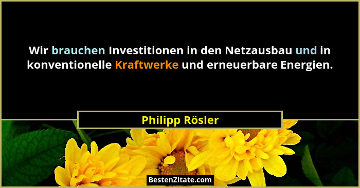 Wir brauchen Investitionen in den Netzausbau und in konventionelle Kraftwerke und erneuerbare Energien.... - Philipp Rösler