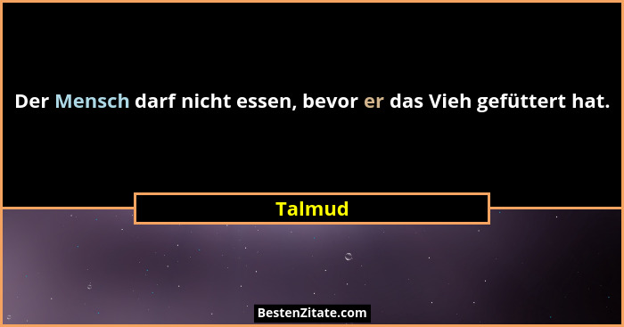 Der Mensch darf nicht essen, bevor er das Vieh gefüttert hat.... - Talmud