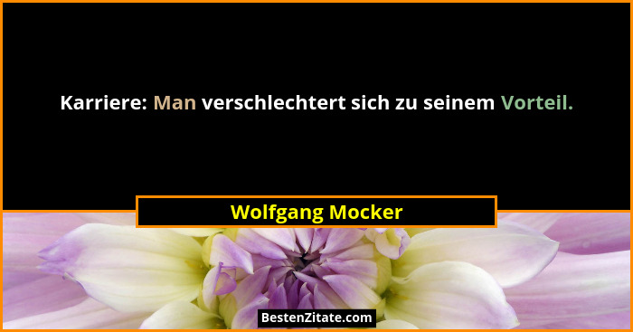 Karriere: Man verschlechtert sich zu seinem Vorteil.... - Wolfgang Mocker