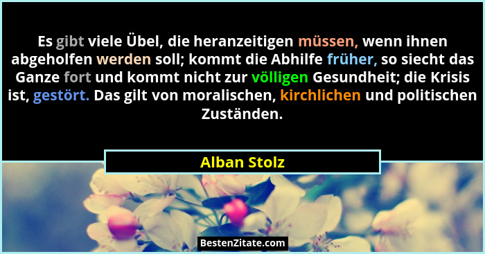 Es gibt viele Übel, die heranzeitigen müssen, wenn ihnen abgeholfen werden soll; kommt die Abhilfe früher, so siecht das Ganze fort und... - Alban Stolz