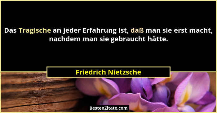 Das Tragische an jeder Erfahrung ist, daß man sie erst macht, nachdem man sie gebraucht hätte.... - Friedrich Nietzsche