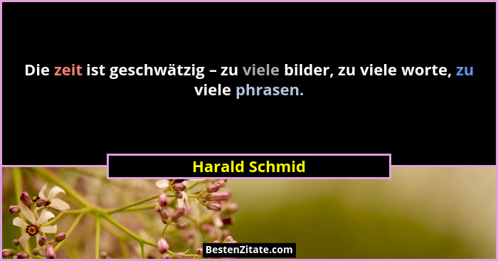 Die zeit ist geschwätzig – zu viele bilder, zu viele worte, zu viele phrasen.... - Harald Schmid
