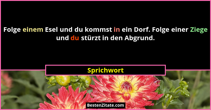 Folge einem Esel und du kommst in ein Dorf. Folge einer Ziege und du stürzt in den Abgrund.... - Sprichwort