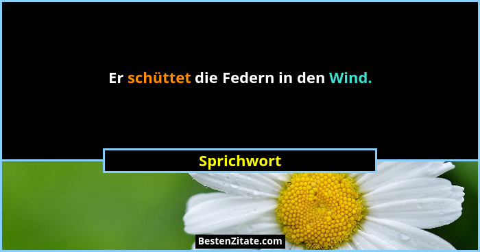 Er schüttet die Federn in den Wind.... - Sprichwort