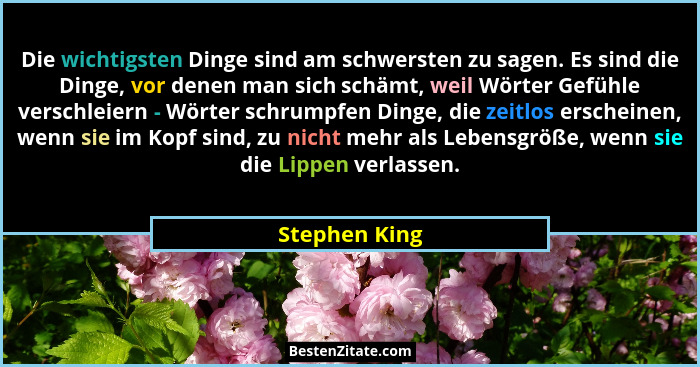 Die wichtigsten Dinge sind am schwersten zu sagen. Es sind die Dinge, vor denen man sich schämt, weil Wörter Gefühle verschleiern - Wör... - Stephen King