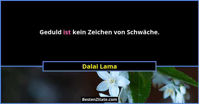 Geduld ist kein Zeichen von Schwäche.... - Dalai Lama