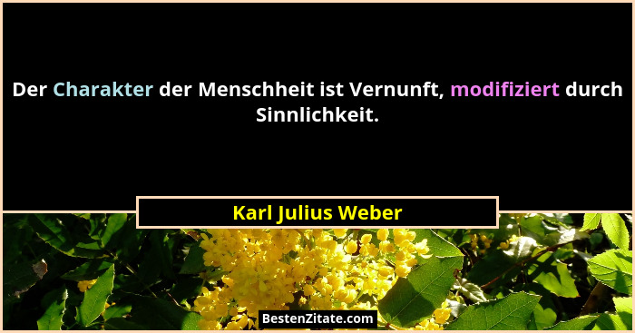 Der Charakter der Menschheit ist Vernunft, modifiziert durch Sinnlichkeit.... - Karl Julius Weber