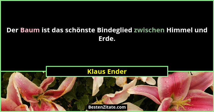 Der Baum ist das schönste Bindeglied zwischen Himmel und Erde.... - Klaus Ender