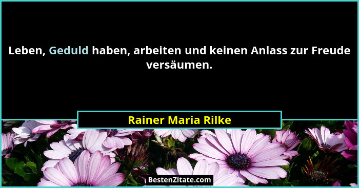 Leben, Geduld haben, arbeiten und keinen Anlass zur Freude versäumen.... - Rainer Maria Rilke