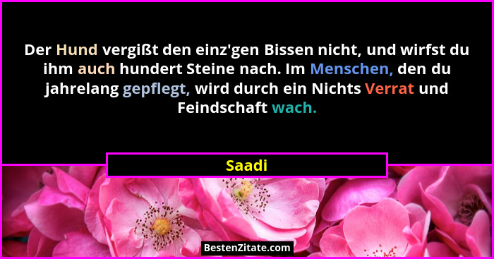 Der Hund vergißt den einz'gen Bissen nicht, und wirfst du ihm auch hundert Steine nach. Im Menschen, den du jahrelang gepflegt, wird durch... - Saadi