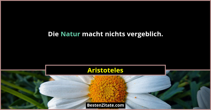 Die Natur macht nichts vergeblich.... - Aristoteles