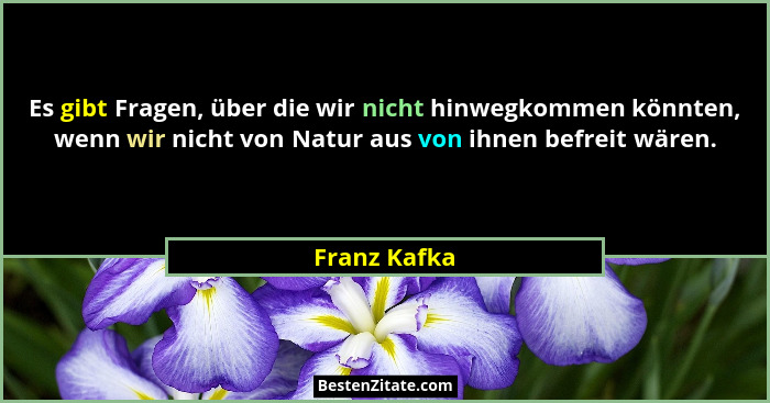 Es gibt Fragen, über die wir nicht hinwegkommen könnten, wenn wir nicht von Natur aus von ihnen befreit wären.... - Franz Kafka