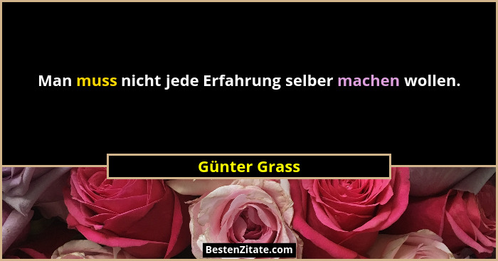 Man muss nicht jede Erfahrung selber machen wollen.... - Günter Grass