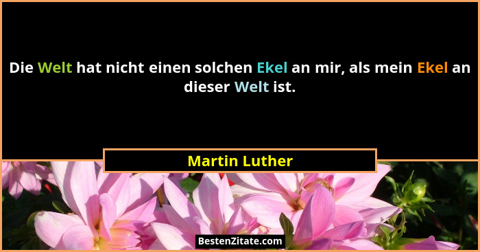 Die Welt hat nicht einen solchen Ekel an mir, als mein Ekel an dieser Welt ist.... - Martin Luther