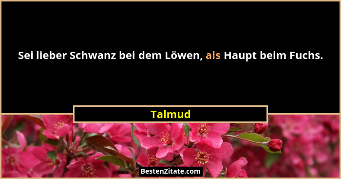 Sei lieber Schwanz bei dem Löwen, als Haupt beim Fuchs.... - Talmud