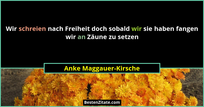 Wir schreien nach Freiheit doch sobald wir sie haben fangen wir an Zäune zu setzen... - Anke Maggauer-Kirsche