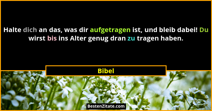 Halte dich an das, was dir aufgetragen ist, und bleib dabei! Du wirst bis ins Alter genug dran zu tragen haben.... - Bibel
