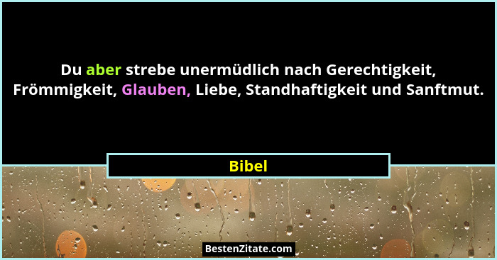Du aber strebe unermüdlich nach Gerechtigkeit, Frömmigkeit, Glauben, Liebe, Standhaftigkeit und Sanftmut.... - Bibel