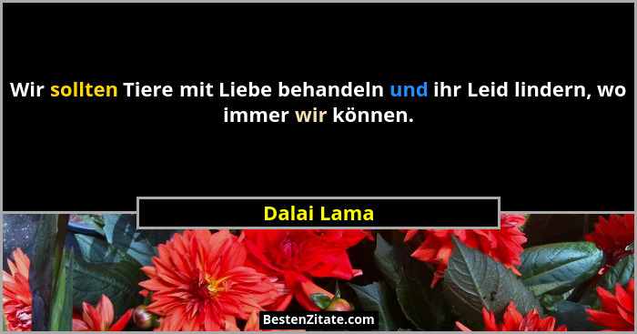 Wir sollten Tiere mit Liebe behandeln und ihr Leid lindern, wo immer wir können.... - Dalai Lama