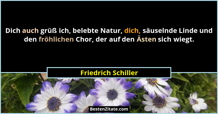 Dich auch grüß ich, belebte Natur, dich, säuselnde Linde und den fröhlichen Chor, der auf den Ästen sich wiegt.... - Friedrich Schiller