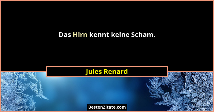 Das Hirn kennt keine Scham.... - Jules Renard