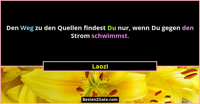 Den Weg zu den Quellen findest Du nur, wenn Du gegen den Strom schwimmst.... - Laozi