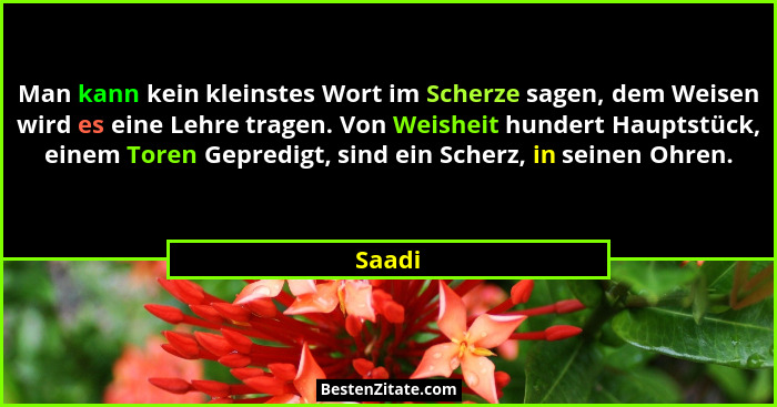 Man kann kein kleinstes Wort im Scherze sagen, dem Weisen wird es eine Lehre tragen. Von Weisheit hundert Hauptstück, einem Toren Gepredigt, s... - Saadi