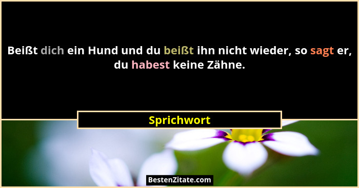 Beißt dich ein Hund und du beißt ihn nicht wieder, so sagt er, du habest keine Zähne.... - Sprichwort