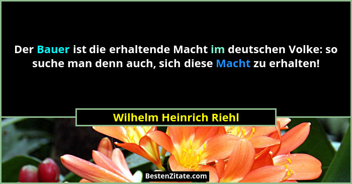 Der Bauer ist die erhaltende Macht im deutschen Volke: so suche man denn auch, sich diese Macht zu erhalten!... - Wilhelm Heinrich Riehl