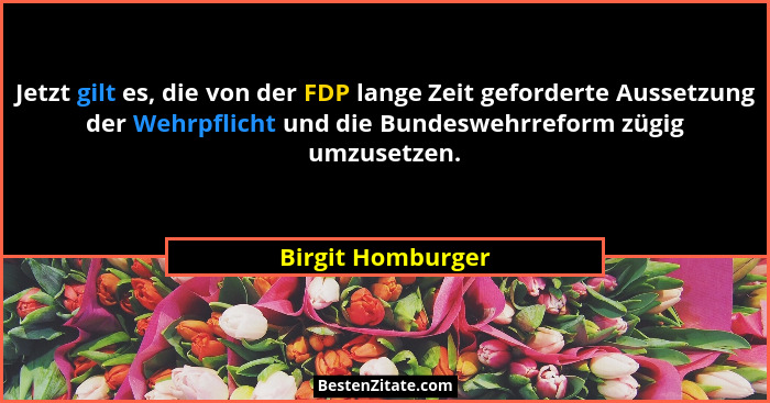 Jetzt gilt es, die von der FDP lange Zeit geforderte Aussetzung der Wehrpflicht und die Bundeswehrreform zügig umzusetzen.... - Birgit Homburger