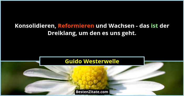 Konsolidieren, Reformieren und Wachsen - das ist der Dreiklang, um den es uns geht.... - Guido Westerwelle