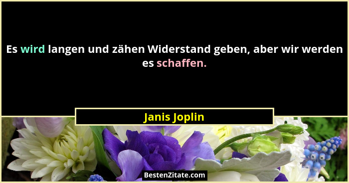Es wird langen und zähen Widerstand geben, aber wir werden es schaffen.... - Janis Joplin