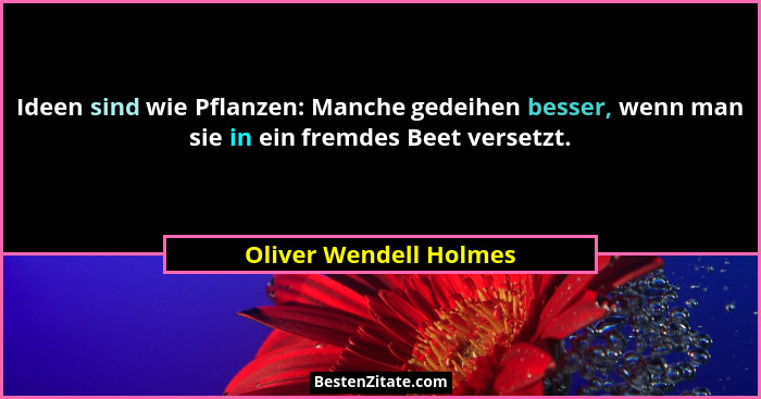 Ideen sind wie Pflanzen: Manche gedeihen besser, wenn man sie in ein fremdes Beet versetzt.... - Oliver Wendell Holmes