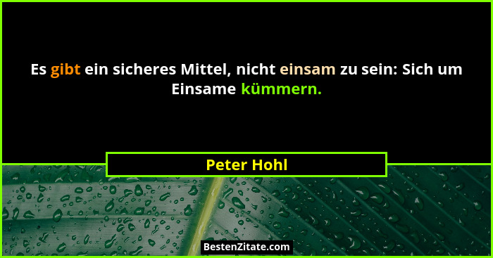 Es gibt ein sicheres Mittel, nicht einsam zu sein: Sich um Einsame kümmern.... - Peter Hohl