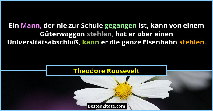 Ein Mann, der nie zur Schule gegangen ist, kann von einem Güterwaggon stehlen, hat er aber einen Universitätsabschluß, kann er di... - Theodore Roosevelt
