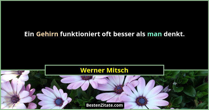 Ein Gehirn funktioniert oft besser als man denkt.... - Werner Mitsch
