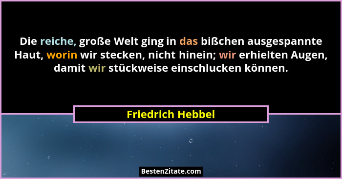 Die reiche, große Welt ging in das bißchen ausgespannte Haut, worin wir stecken, nicht hinein; wir erhielten Augen, damit wir stück... - Friedrich Hebbel