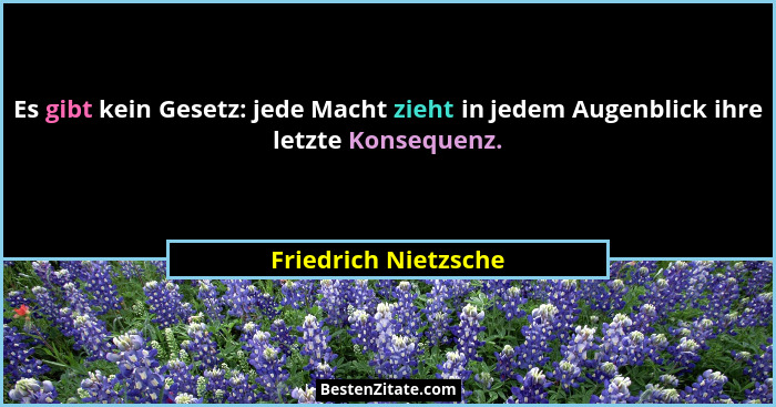Es gibt kein Gesetz: jede Macht zieht in jedem Augenblick ihre letzte Konsequenz.... - Friedrich Nietzsche