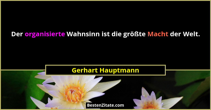 Der organisierte Wahnsinn ist die größte Macht der Welt.... - Gerhart Hauptmann