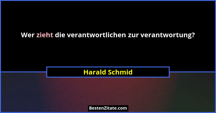 Wer zieht die verantwortlichen zur verantwortung?... - Harald Schmid