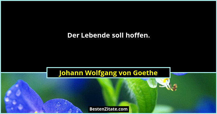 Der Lebende soll hoffen.... - Johann Wolfgang von Goethe