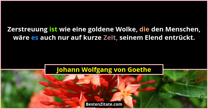 Zerstreuung ist wie eine goldene Wolke, die den Menschen, wäre es auch nur auf kurze Zeit, seinem Elend entrückt.... - Johann Wolfgang von Goethe