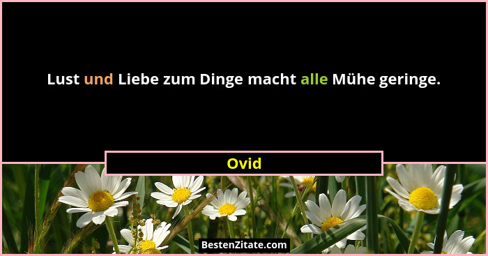 Lust und Liebe zum Dinge macht alle Mühe geringe.... - Ovid